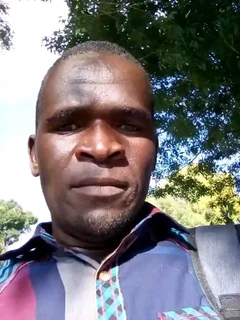 Professional gardener, painter and houseman