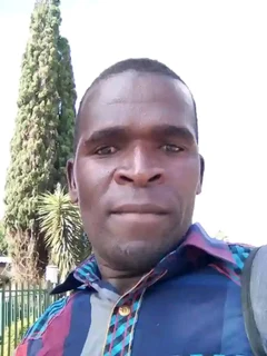 Professional painter, gardener houseman