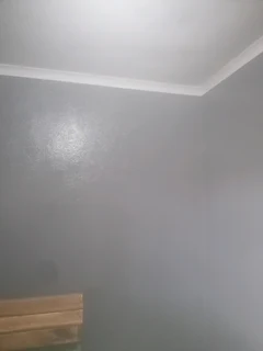 Professional gardener /painter /handyman