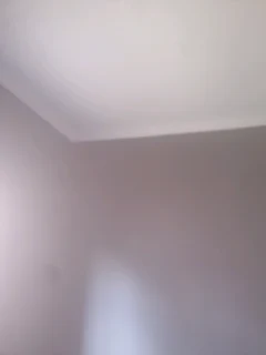 Professional gardener /painter /handyman