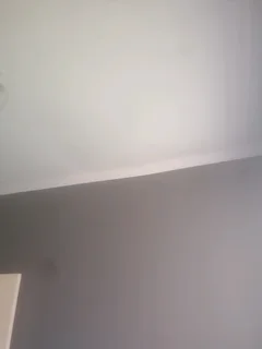 Professional gardener painter handyman