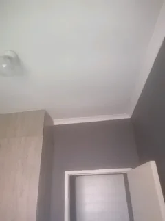 Gardener painter handyman