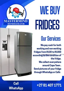 Fridges and Freezers buyer