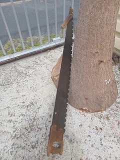 Antique rip saw very sharp teeth