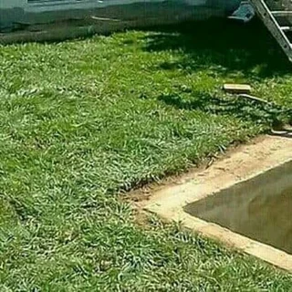 Farm Fresh Instant Lawns