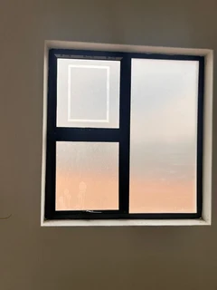 PROFESSIONAL WINDOW TINTING &amp; FROSTING SERVICES