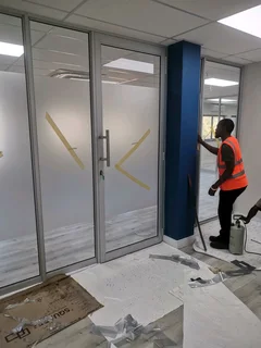 WINDOW TINTING PROFESSIONALS