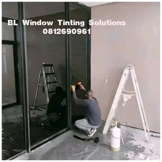 WINDOW TINTING PROFESSIONALS