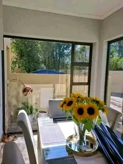 WINDOW TINTING PROFESSIONALS