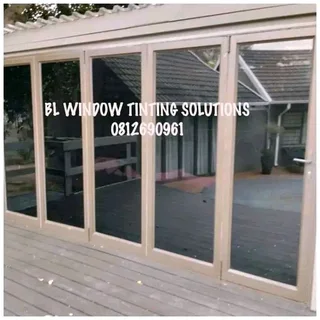 Professional Window Tinting Services