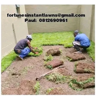 GREEN INSTANT LAWN SUPPLIES