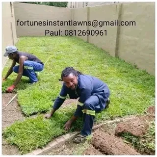KIKUYU INSTANT LAWN