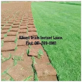 KIKUYU INSTANT LAWN