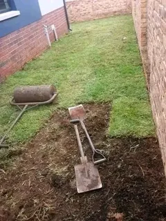 KIKUYU INSTANT LAWN