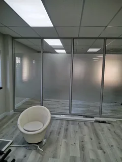 PROFESSIONAL WINDOW TINTING SOLUTIONS