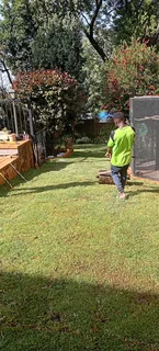 KIKUYU, LM BEREA &amp; EVERGREEN: 0812690961