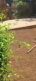 FARM FRESH INSTANT LAWNS: 0812690961