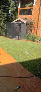 Lush Green Instant Lawn Sales