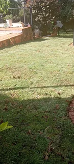 KIKUYU, LM BEREA &amp; EVERGREEN GRASS DELIVERY:0812690961