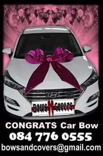 Car Bows