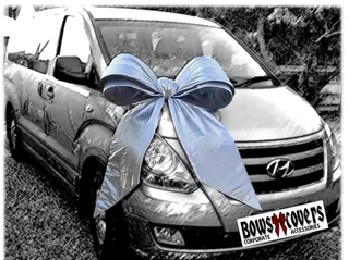 Car Delivery Bow