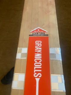 Cricket bat
