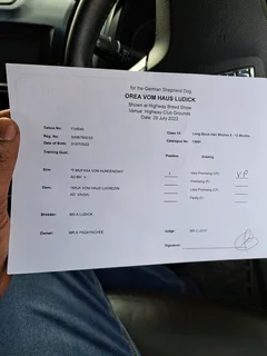 Pets - Ad posted by SKYVIEW DUNDEE