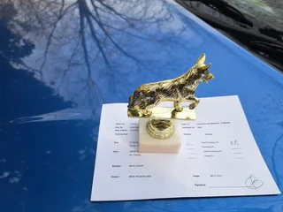 Pets - Ad posted by SKYVIEW DUNDEE