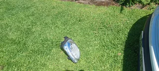 Fiat 500x front bumber