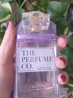 50ml oil base perfume stock available