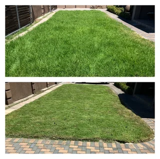 Grass cutting and clean up services (A beautiful garden is a work of heart)