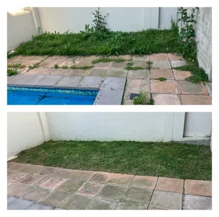 Grass cutting and clean up services (A beautiful garden is a work of heart)