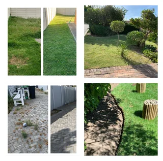 Grass cutting and clean up services (A beautiful garden is a work of heart)