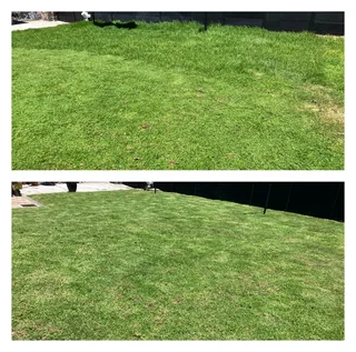Grass cutting and clean up services (A freshly cut lawn can do wonders for aesthetics)