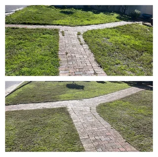 Grass cutting and clean up services (A freshly cut lawn can do wonders for aesthetics)