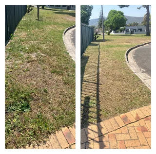 Grass cutting and clean up services (A freshly cut lawn can do wonders for aesthetics)