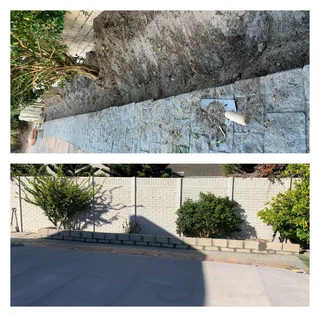 Grass cutting and clean up services (A freshly cut lawn can do wonders for aesthetics)