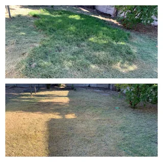 Grass cutting and clean up services (A freshly cut lawn can do wonders for aesthetics)