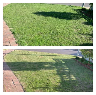Grass cutting and clean up services (simple but effective, just like a decent haircut)