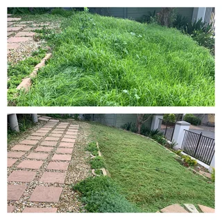 Grass cutting and clean up services (simple but effective, just like a decent haircut)