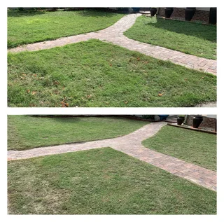 Grass cutting and clean up services (simple but effective, just like a decent haircut)