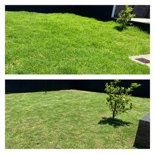 Grass cutting and clean up services (simple but effective, just like a decent haircut)