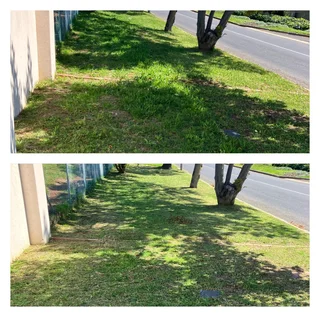 Grass cutting and clean up services (simple but effective, just like a decent haircut)