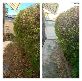 Grass cutting and clean up services (simple but effective, just like a decent haircut)