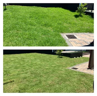 GRASS CUTTING (THERE ARE ALWAYS FLOWERS FOR THOSE WHO WANT TO SEE THEM)