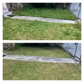 GRASS CUTTING (THERE ARE ALWAYS FLOWERS FOR THOSE WHO WANT TO SEE THEM)