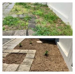 GRASS CUTTING (THERE ARE ALWAYS FLOWERS FOR THOSE WHO WANT TO SEE THEM)