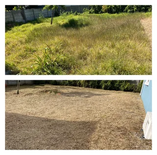 Grass cutting and clean up services (A freshly cut lawn can do wonders for aesthetics)