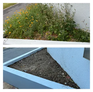 Grass cutting and clean up services (A freshly cut lawn can do wonders for aesthetics)