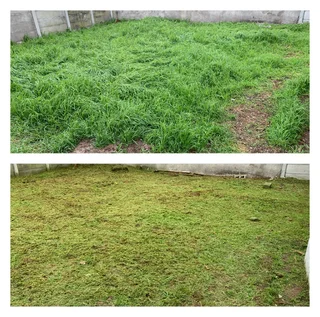Grass cutting and clean up services (A freshly cut lawn can do wonders for aesthetics)